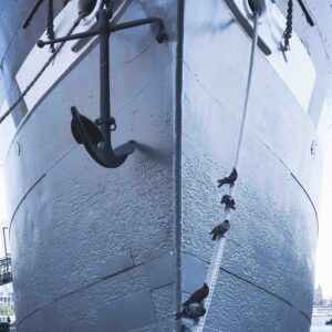 Anchor Bolts